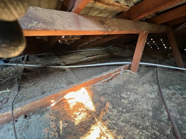 Before insulation removal in roofspace