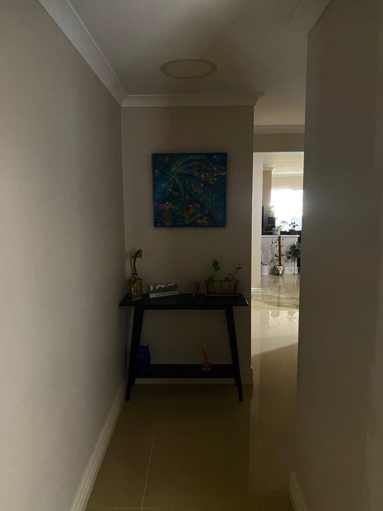 Before skylight install
